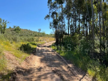 Terreno para Venda em Abela