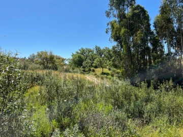 Terreno para Venda em Abela