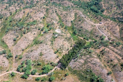 Terreno para Venda em Abela