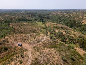 Terreno para Venda em Abela