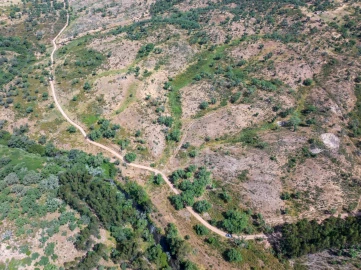 Terreno para Venda em Abela
