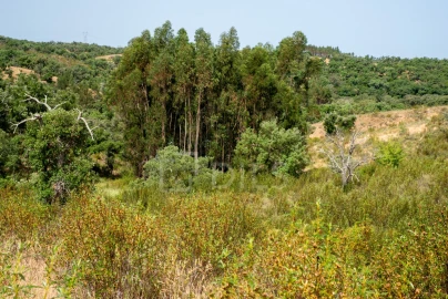 Terreno para Venda em Abela