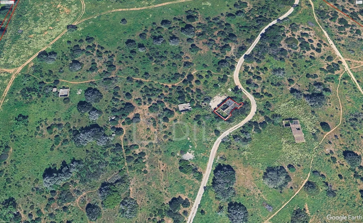 Terreno para Venda em Alvor Foto 13