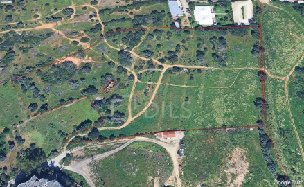 Terreno para Venda em Alvor
