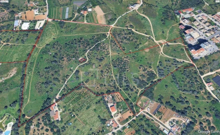 Terreno para Venda em Alvor