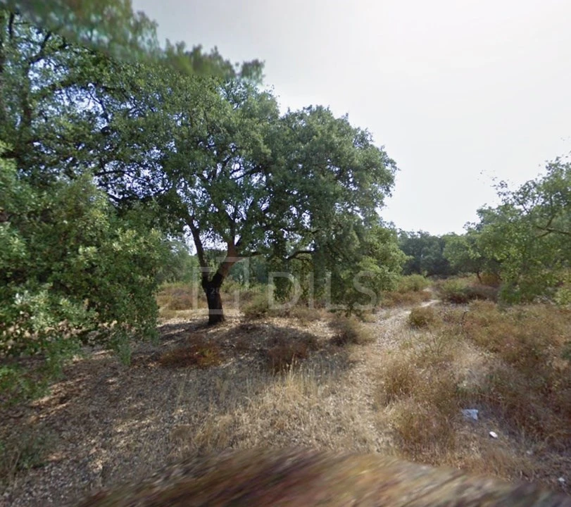 Terreno para Venda em Palmela Foto 9