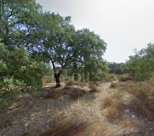 Terreno para Venda em Palmela