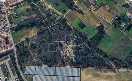 Terreno para Venda em Palmela