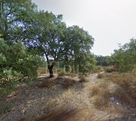Terreno para Venda em Palmela Foto 9