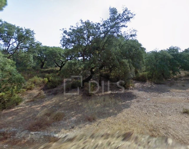 Terreno para Venda em Palmela Foto 11