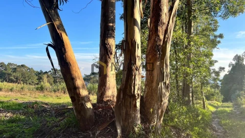 Terreno para Venda em Buarcos