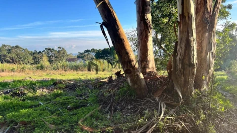 Terreno para Venda em Buarcos