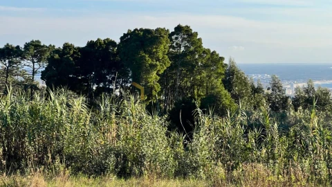 Terreno para Venda em Buarcos