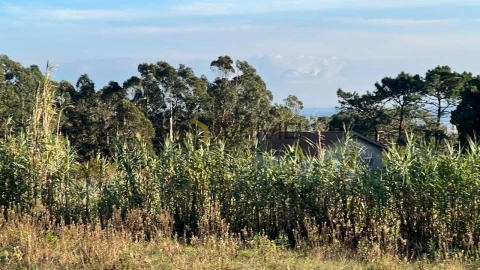 Terreno para Venda em Buarcos