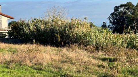 Terreno para Venda em Buarcos