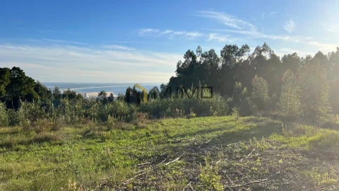 Terreno para Venda em Buarcos