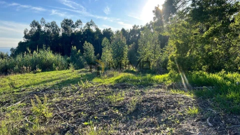 Terreno para Venda em Buarcos
