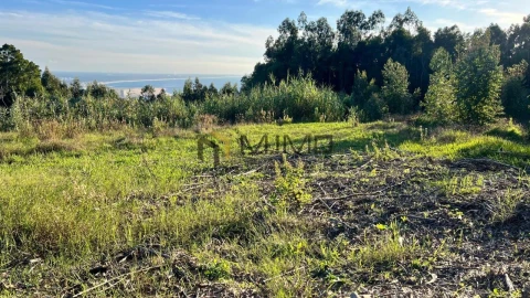 Terreno para Venda em Buarcos