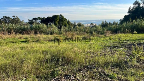 Terreno para Venda em Buarcos
