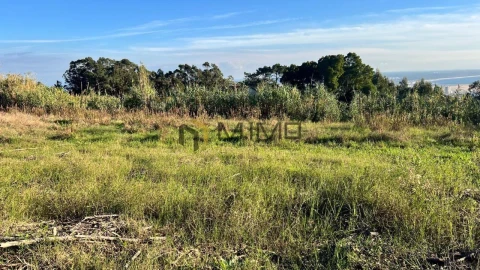Terreno para Venda em Buarcos
