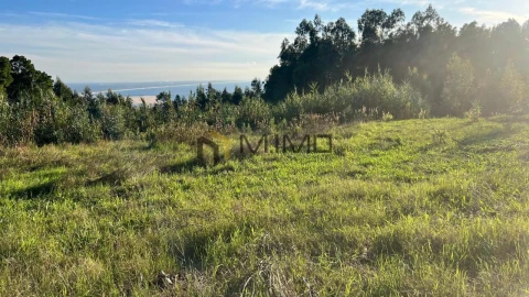 Terreno para Venda em Buarcos