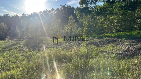 Terreno para Venda em Buarcos