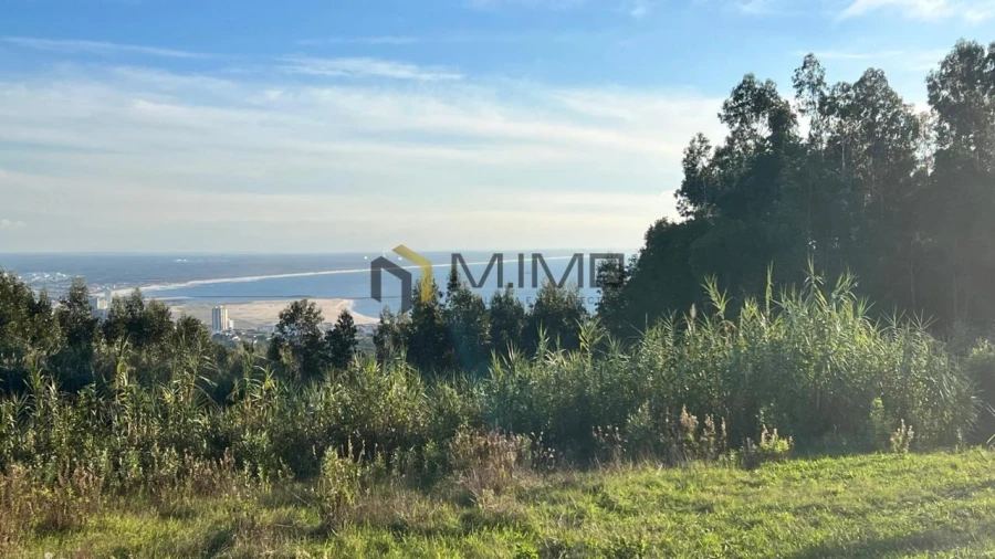 Terreno para Venda em Buarcos Foto 2