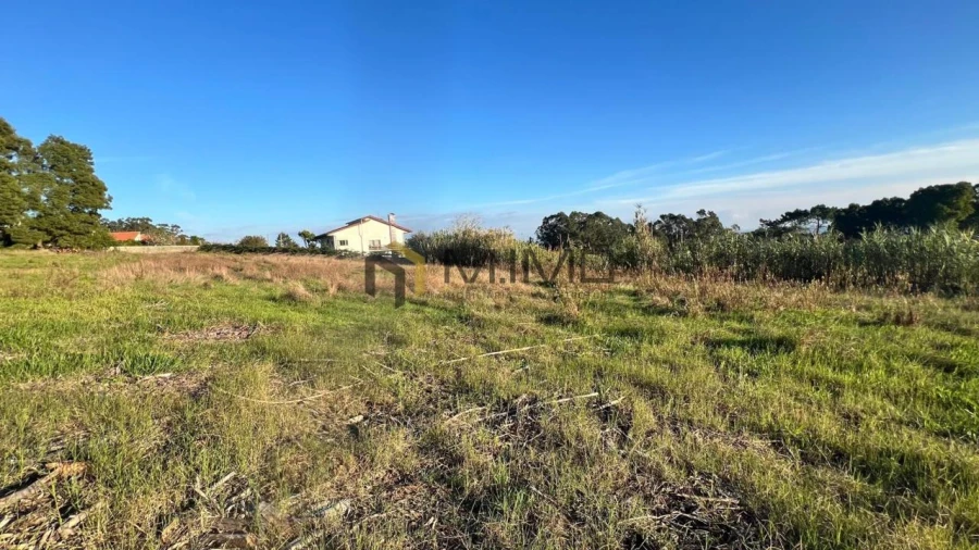 Terreno para Venda em Buarcos Foto 5