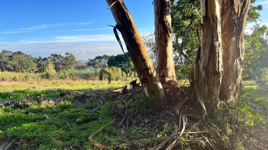 Terreno para Venda em Buarcos Foto 8