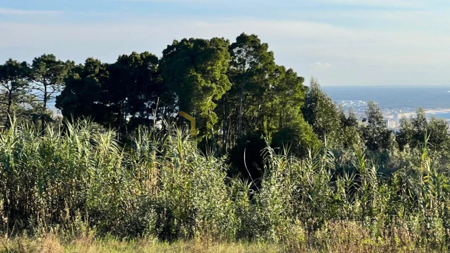 Terreno para Venda em Buarcos Foto 14