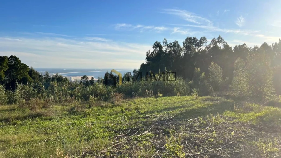 Terreno para Venda em Buarcos Foto 23