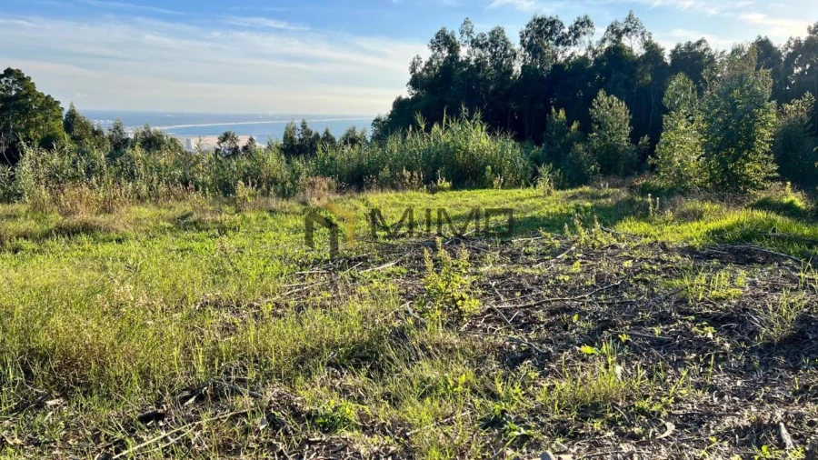 Terreno para Venda em Buarcos Foto 25