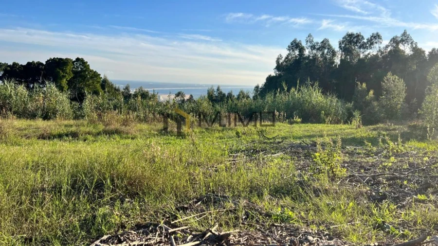 Terreno para Venda em Buarcos Foto 31