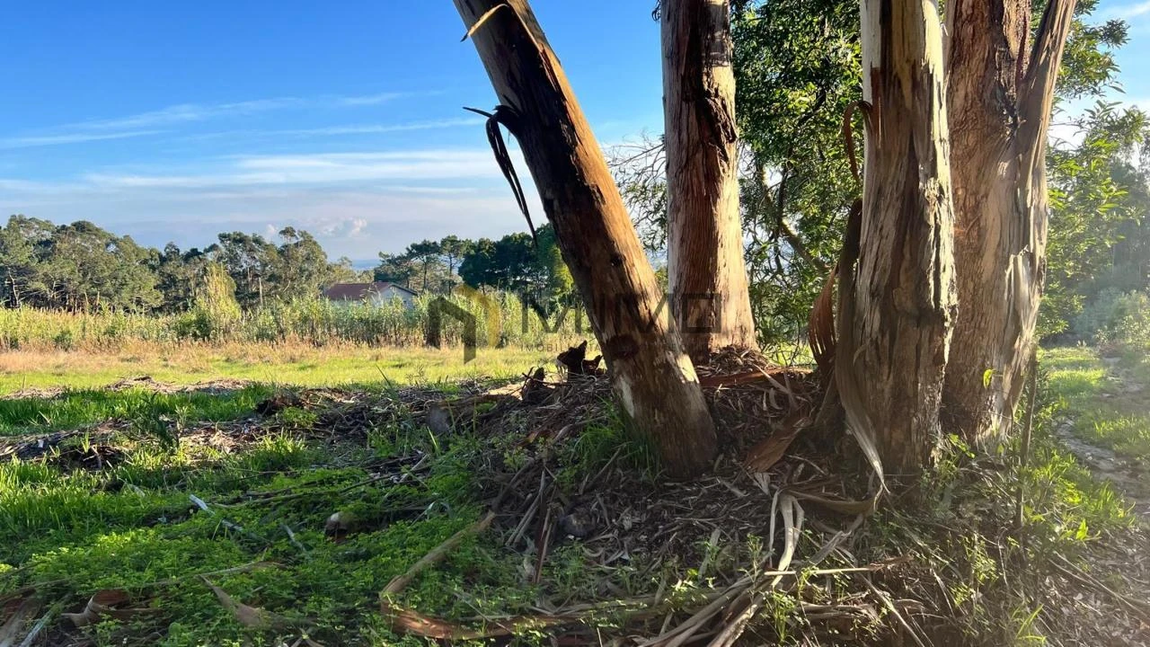 Terreno para Venda em Buarcos Foto 8