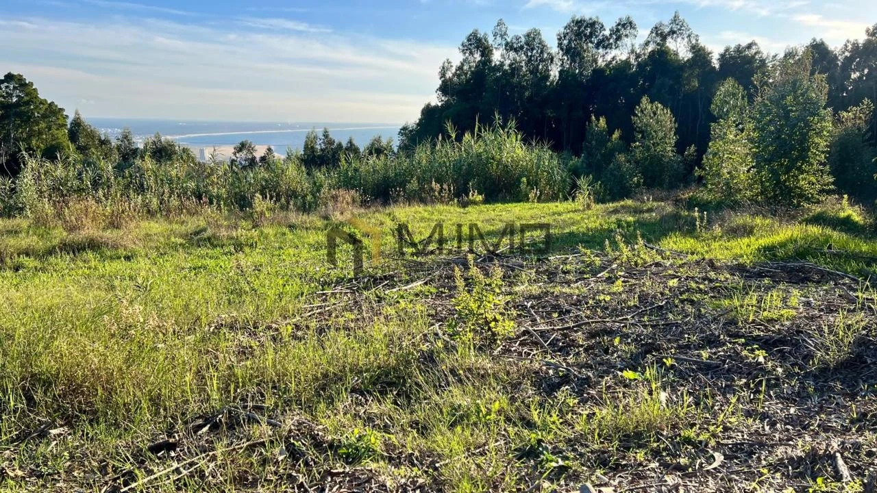 Terreno para Venda em Buarcos Foto 25