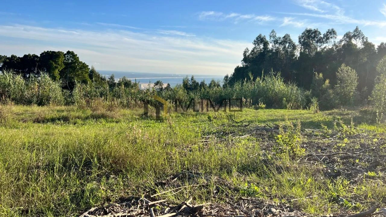 Terreno para Venda em Buarcos Foto 31