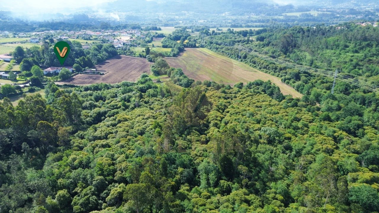 Quinta T9 para Venda em Fontão Foto 107