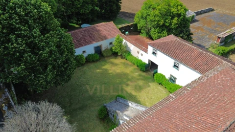 Quinta T9 para Venda em Fontão