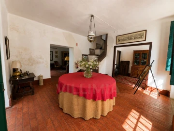 Quinta T9 para Venda em Fontão