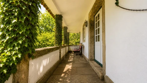 Quinta T9 para Venda em Fontão