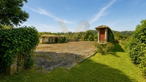Quinta T9 para Venda em Fontão