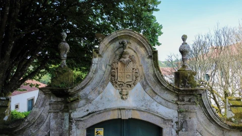 Quinta T9 para Venda em Fontão