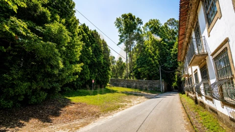 Quinta T9 para Venda em Fontão