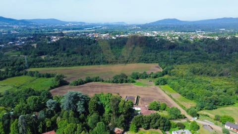 Quinta T9 para Venda em Fontão