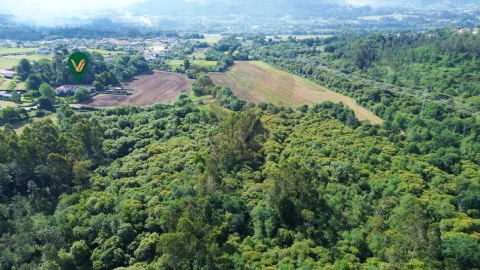 Quinta T9 para Venda em Fontão