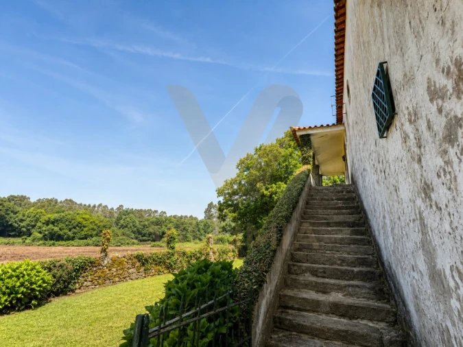 Quinta T9 para Venda em Fontão Foto 71
