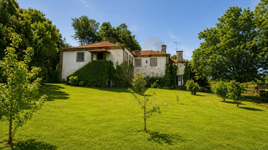 Quinta T9 para Venda em Fontão Foto 89