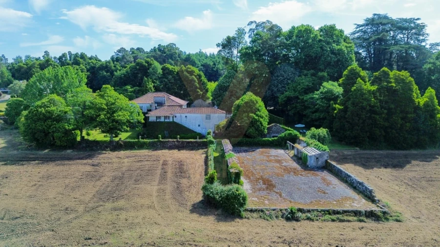 Quinta T9 para Venda em Fontão Foto 100