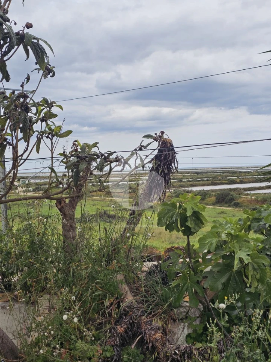 Moradia T3 para Venda em Moncarapacho e Fuseta Foto 40