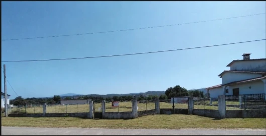 Terreno para Venda em Freixianda, Ribeira do Fárrio e Formigais